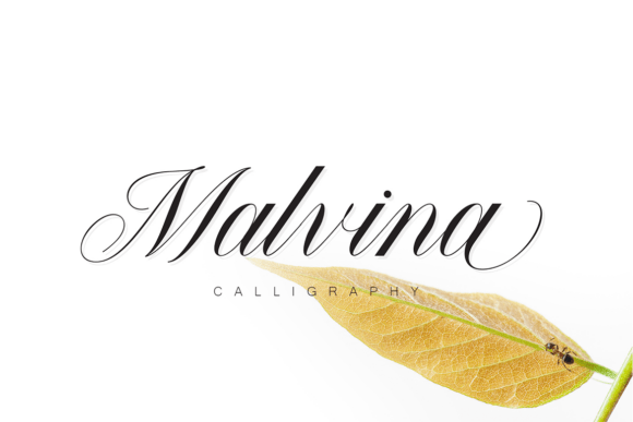 Malvina: A Graceful Script Font for Handmade Labels and Luxe Branding